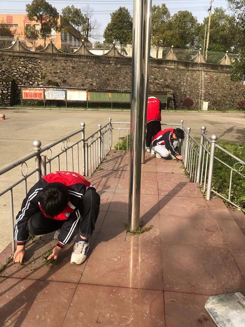 常德德才科技職業(yè)學校,常德招生就業(yè),電子商務專業(yè)學校,專業(yè)學校報考哪里好