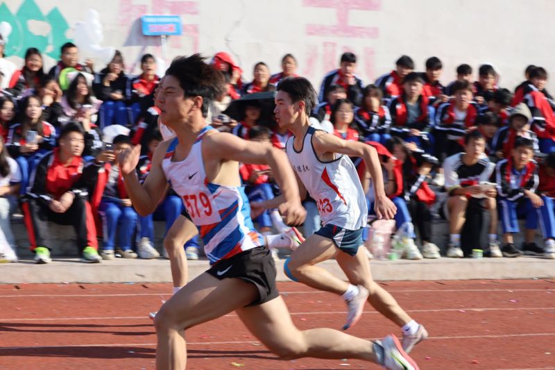 常德德才科技職業(yè)學校,常德招生就業(yè),電子商務專業(yè)學校,專業(yè)學校報考哪里好